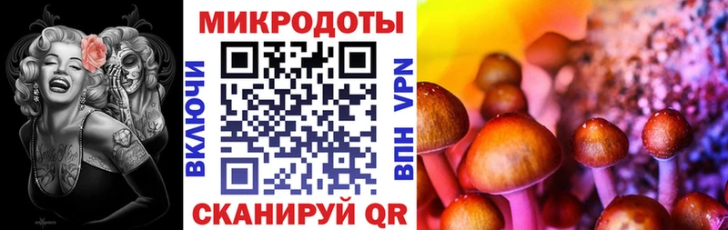 наркошоп Симферополь Галлюциногенные грибы Psilocybe