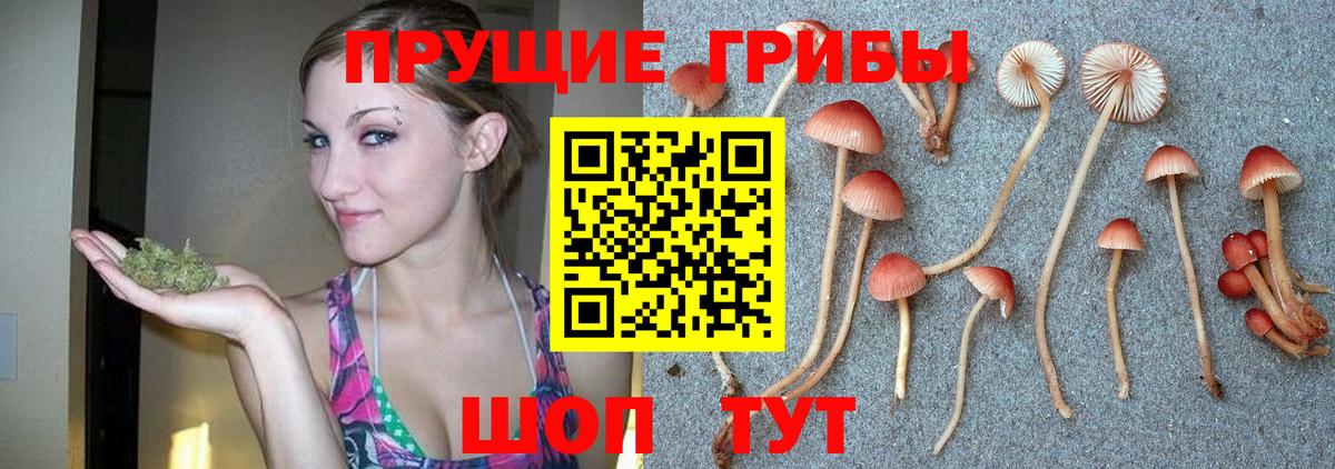 Галлюциногенные грибы прущие грибы  Галлюциногенные грибы MAGIC MUSHROOMS  Вход с VPN  Симферополь 