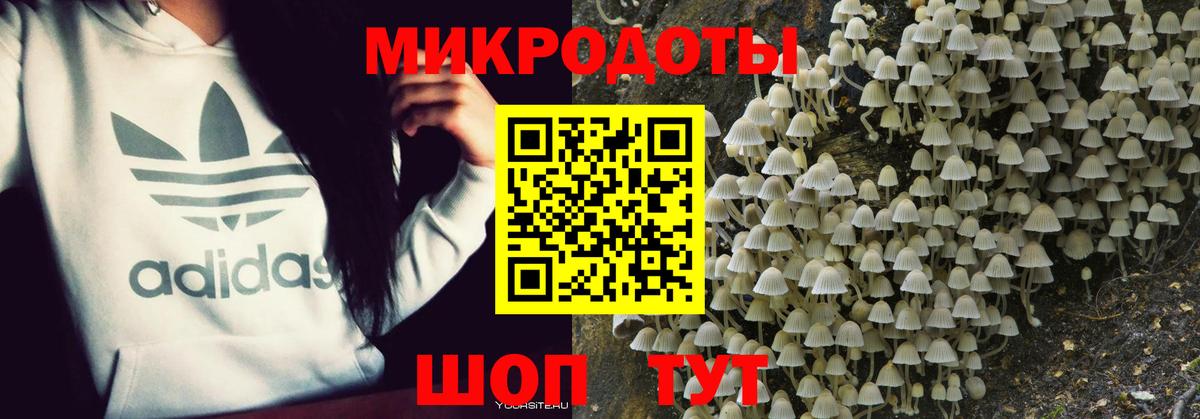 Галлюциногенные грибы Psilocybe Симферополь