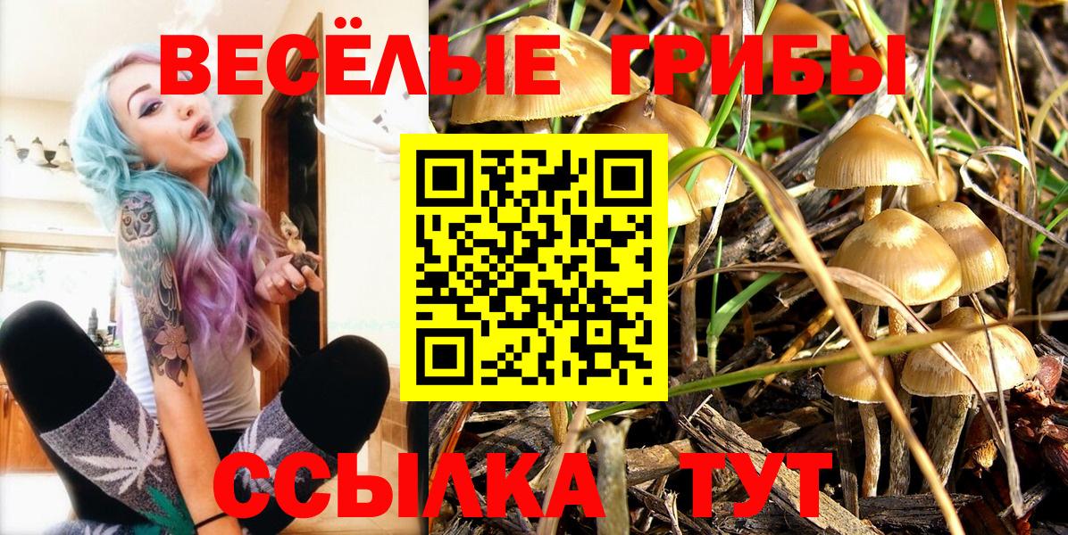 Псилоцибиновые грибы мицелий  Симферополь  Псилоцибиновые грибы Psilocybe 